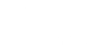 Firgun Solutions