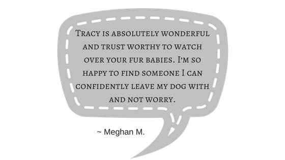 reviews for dallas pet sitter