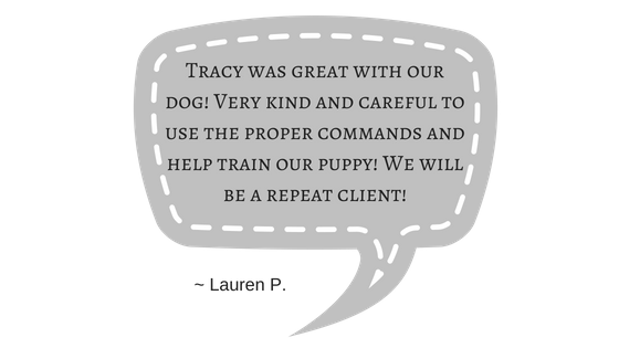 pet trainer review dallas