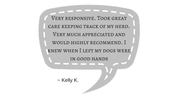 dallas pet sitter reviews