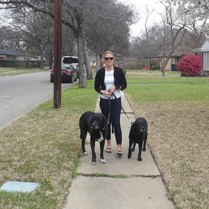 dallas dog walker